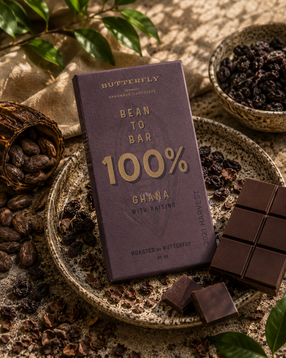 Bean to Bar - %100 Gana Kuru Üzümlü Tablet Çikolata